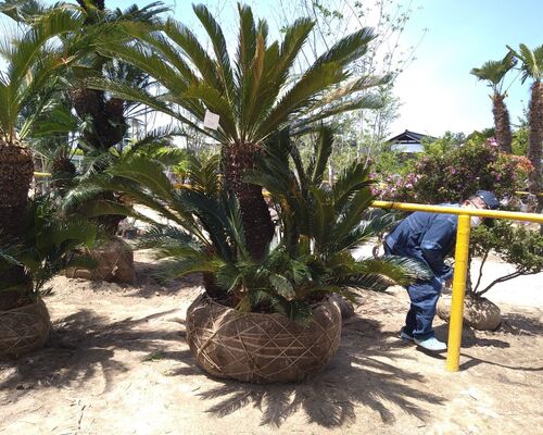 LINE_ALBUM_2021313_220519_11