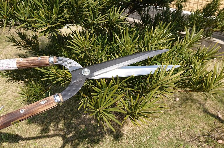 1586820520364_waifu2x_photo_noise3_scale_tta_1
