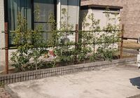 IMG_20200409_164110_161