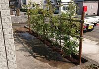 IMG_20200409_164110_162