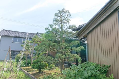 仕事関係_200419_0097