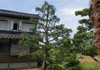 仕事関係_200419_0099