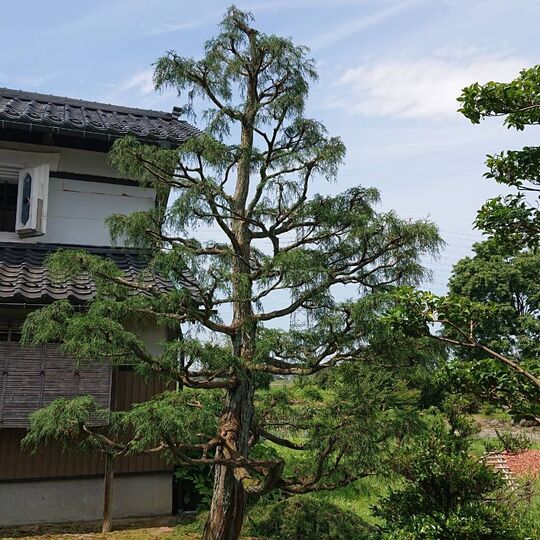 仕事関係_200419_0099