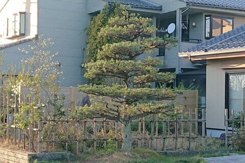 仕事関係_200419_0051