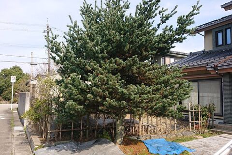 仕事関係_200419_0059