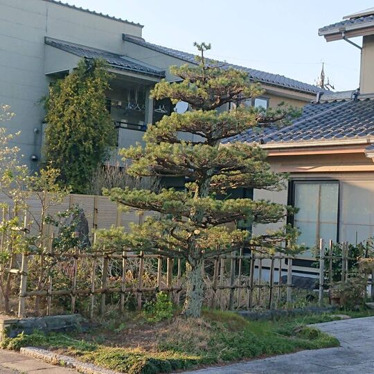 仕事関係_200419_0104
