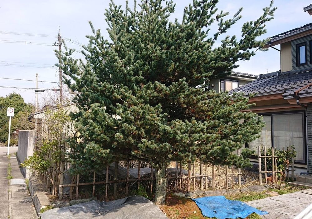 仕事関係_200419_0059