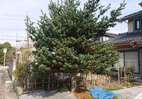 仕事関係_200419_0059