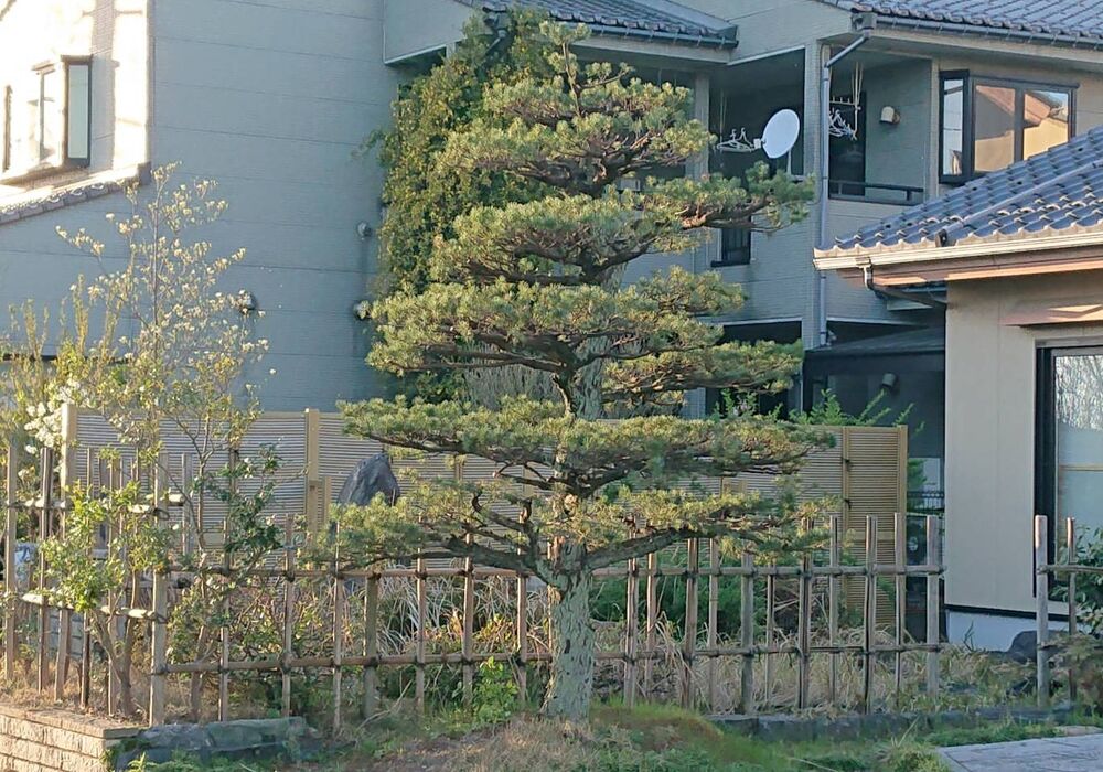 仕事関係_200419_0051