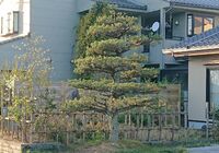 仕事関係_200419_0051