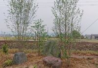 仕事関係_200419_0095