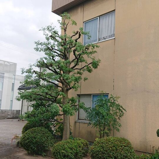 仕事関係_200419_0094