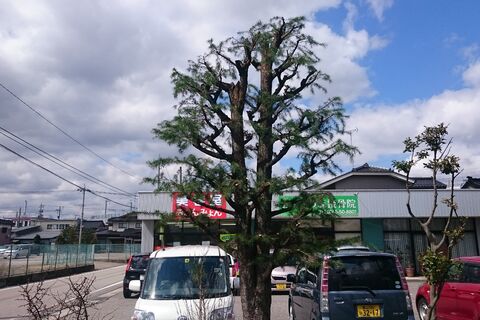 keitai645