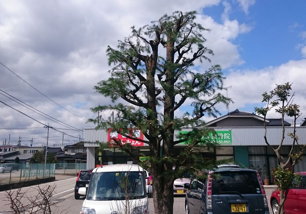 keitai645