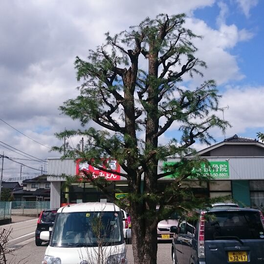 keitai645