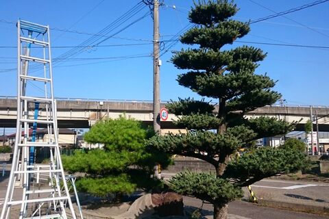 仕事関係_200419_0107