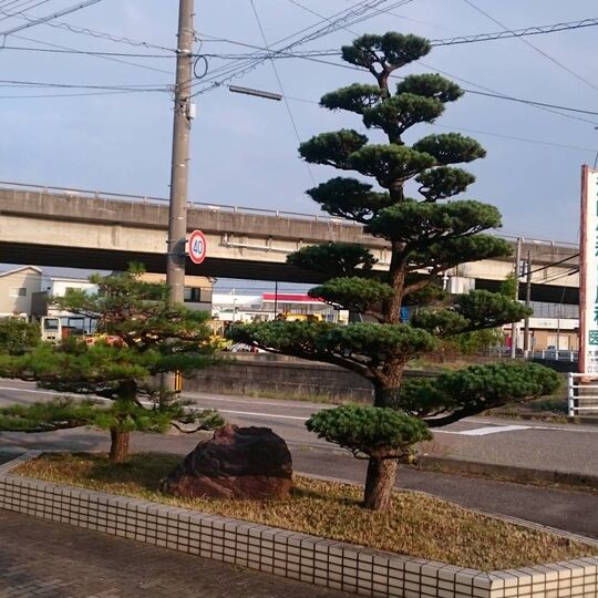 仕事関係_200419_0080