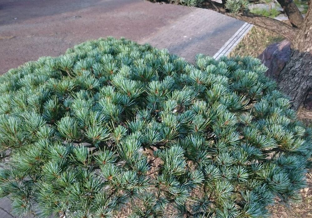 仕事関係_200419_0068