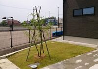 仕事関係_200429_0150