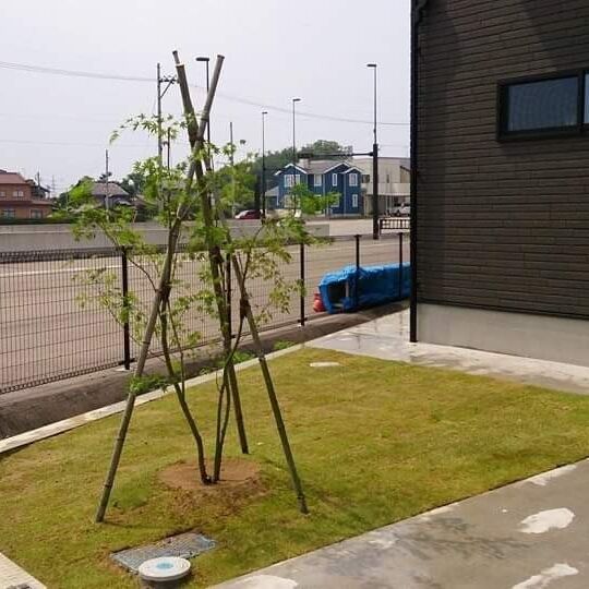 仕事関係_200429_0150