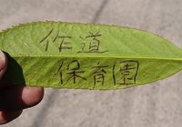 草刈写真_200430_0187