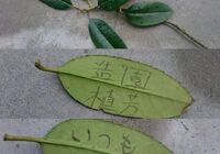 草刈写真_200430_0189