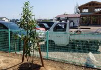草刈写真_200430_0188