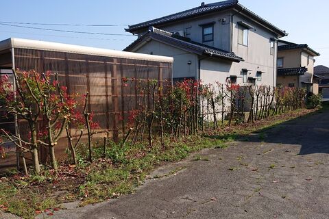 仕事関係_200430_0153