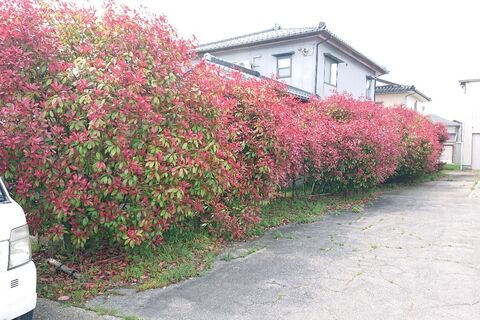 仕事関係_200430_0157
