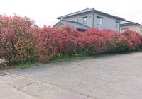 仕事関係_200430_0156