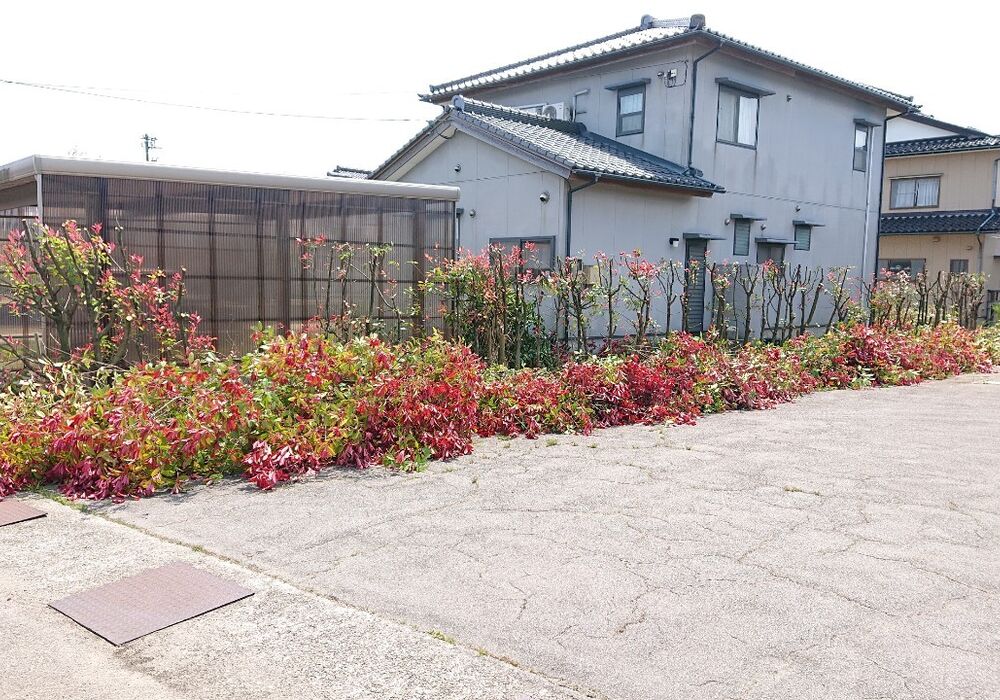 仕事関係_200430_0155