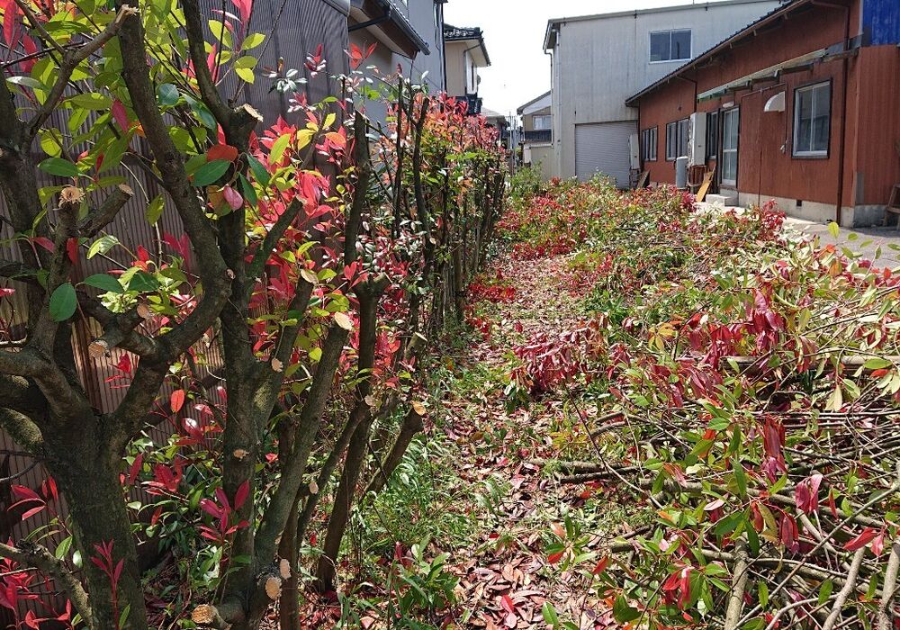 仕事関係_200430_0154