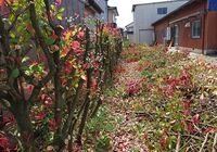 仕事関係_200430_0154