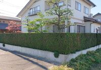 仕事関係_200513_0179