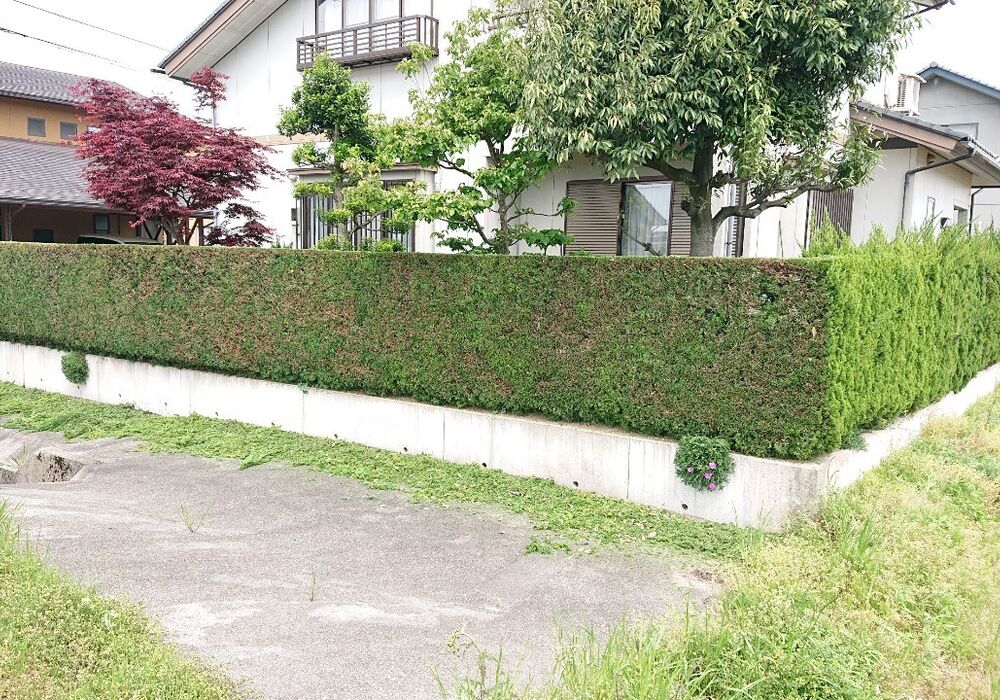 仕事関係_200513_0186