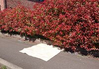 仕事関係_200515_0200