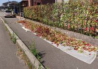 仕事関係_200515_0198