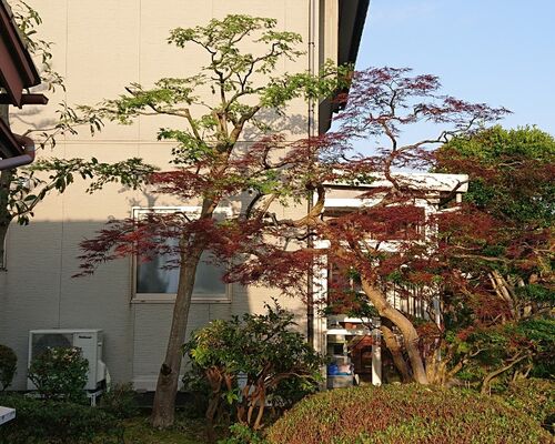 仕事関係_200523_0225