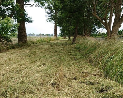 仕事関係_200628_1