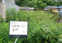 仕事関係_200726