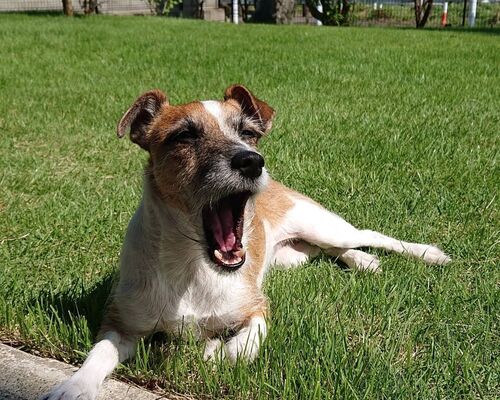 仕事関係_200803_2