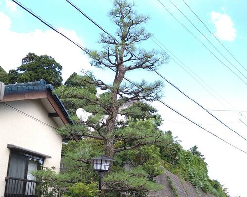 仕事関係_200925_10