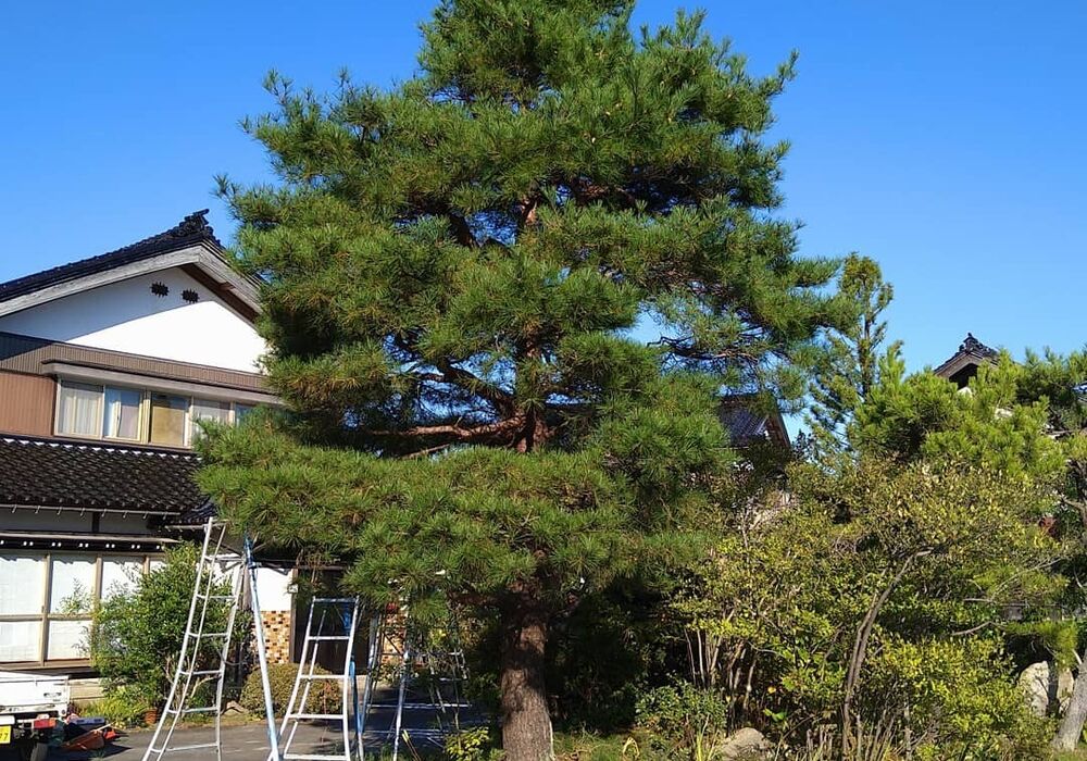 仕事関係_201022_1