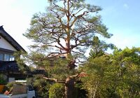 仕事関係_201022_2
