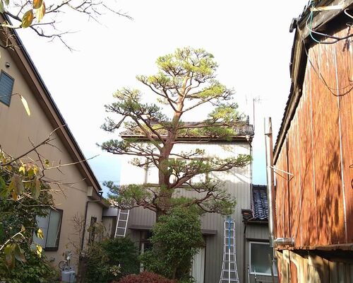 仕事関係_201108_2