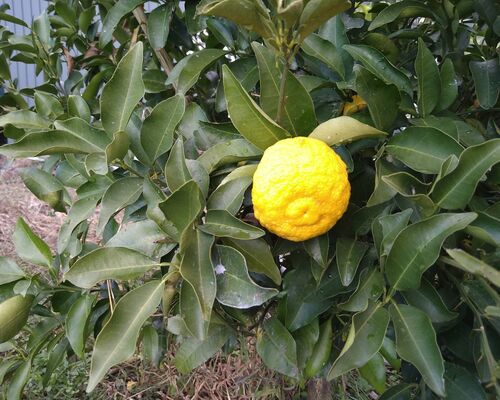 仕事関係_201213_2