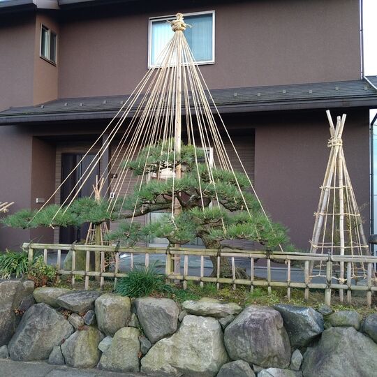 仕事関係_201229_0