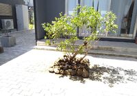 仕事関係_210424_3