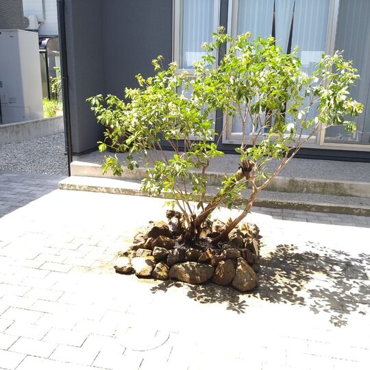 仕事関係_210424_3