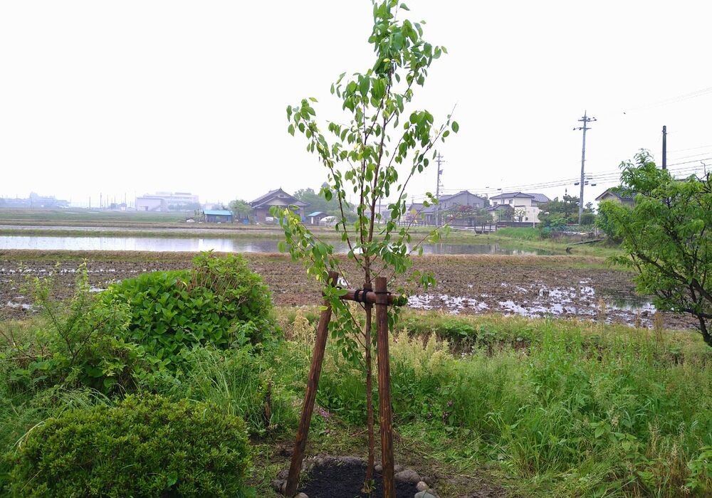 仕事関係_210520_2